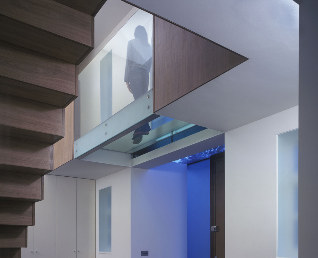 frognal_01