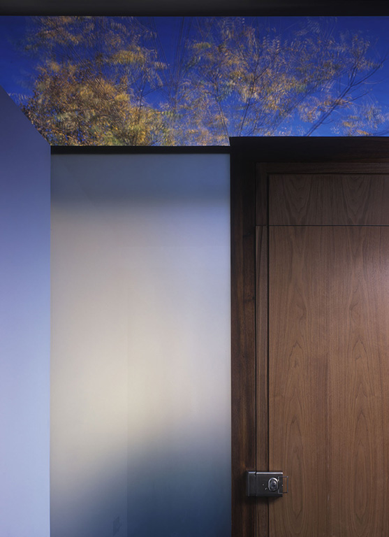 frognal_06
